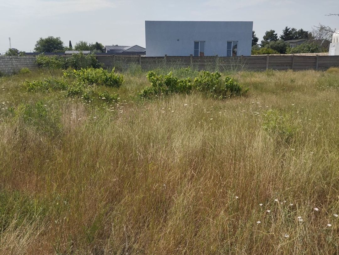 Satılır torpaq 6 sot — Torpaq, Bakı (2)