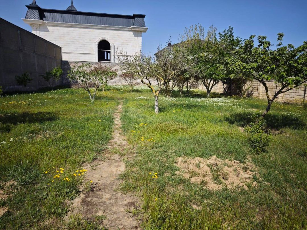 8 sot torpaq sahəsi, Buzovna qəs — Torpaq, Bakı (4)