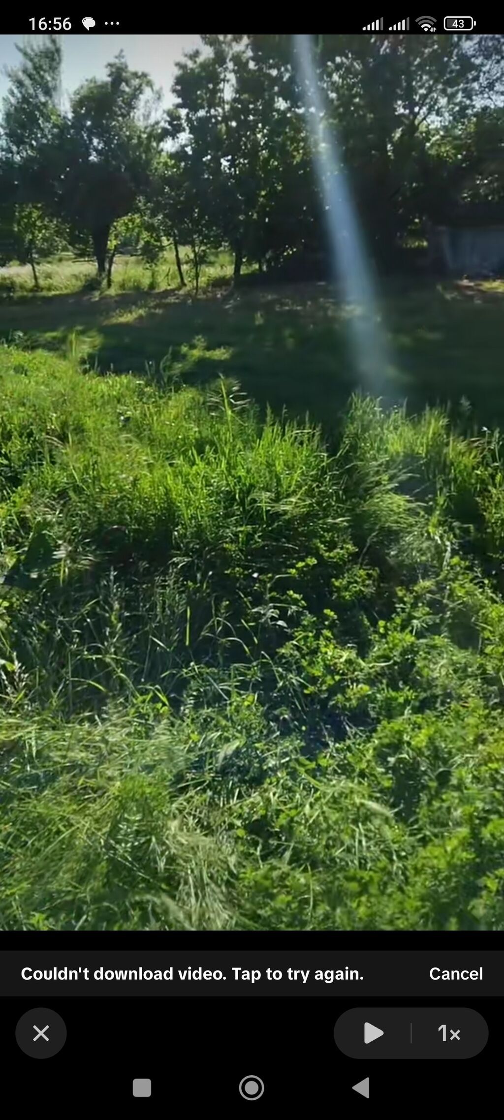 Salam torpaq Qəbələdə yerləşir işıq su internet var tikinti — Torpaq, Bakı (5)