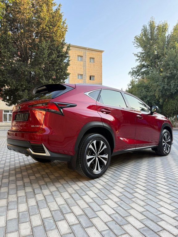 Lexus NX 300, 2.0 L, 2021 il, 31 000 km — Avtomobillər, Bakı (6)