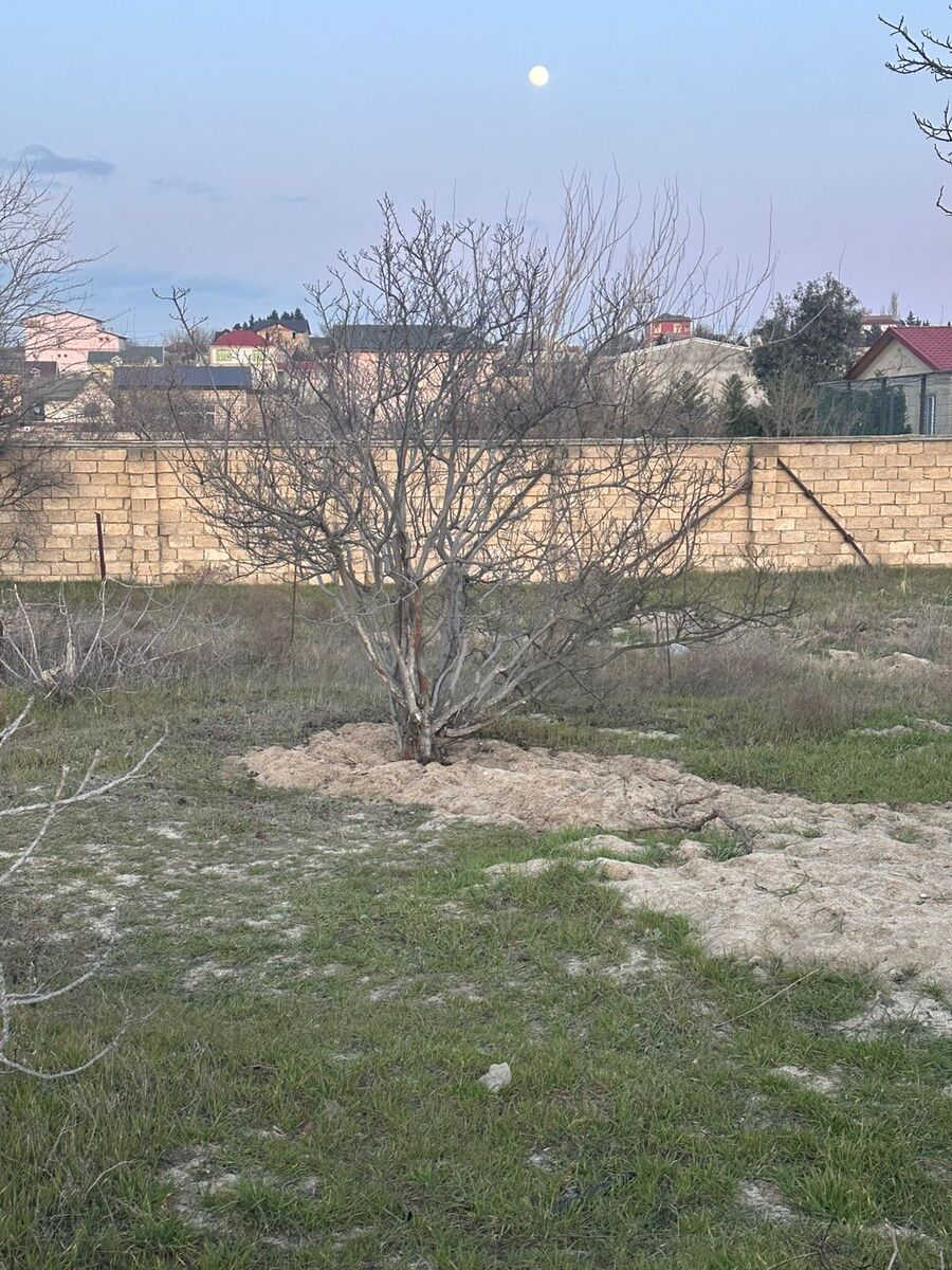 2 sot torpaq sahəsi, Novxanı qəs — Torpaq, Bakı