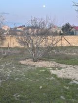 2 sot torpaq sahəsi, Novxanı qəs — Mensum