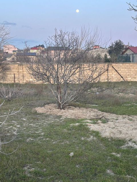 2 sot torpaq sahəsi, Novxanı qəs — Bakı