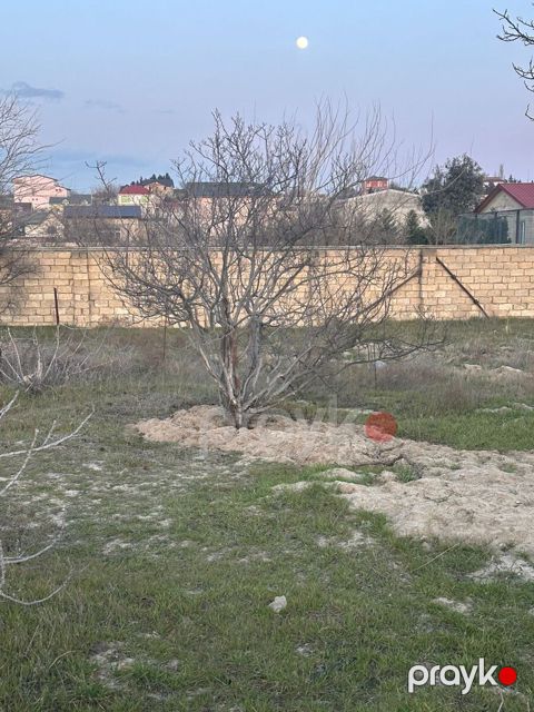 2 sot torpaq sahəsi, Novxanı qəs