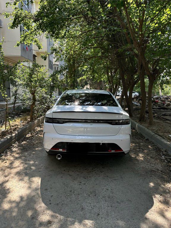 BYD Destroyer 05, 1.5 L, 8.3 kWh, 2025 il, 85 000 km — Avtomobillər, Bakı (12)