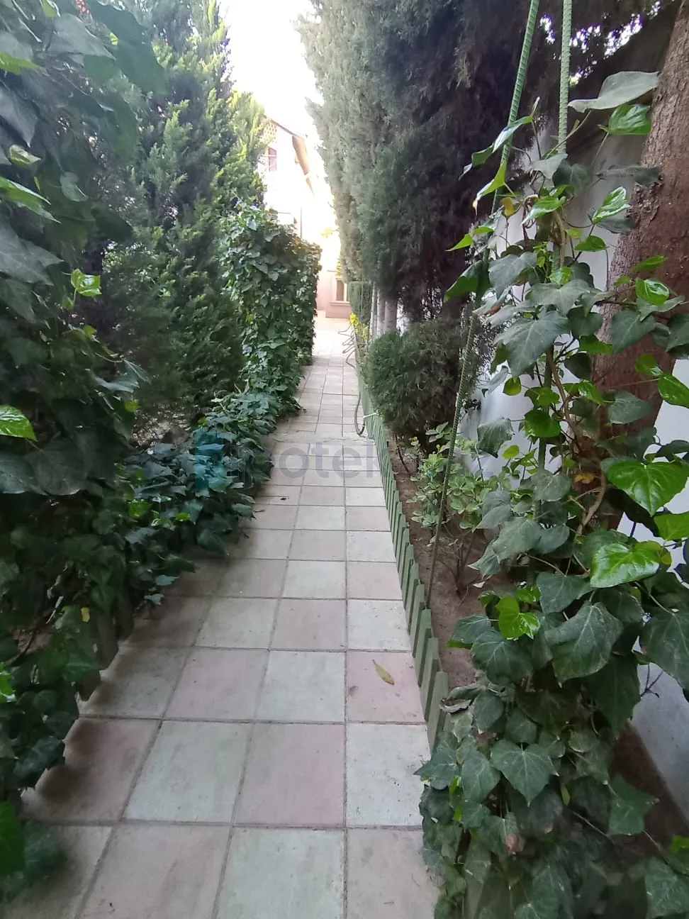 Satılır: 4 Otaq, Bağlar, Xəzər r., Buzovna q., 250.00 m² — Torpaq, Buzovna (12)