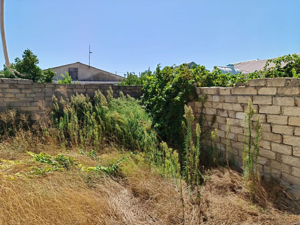 Bakı, 50 kv. m, 1 otaqlı, Qaz, Su, İşıq — Ev, villa, Bakı (6)