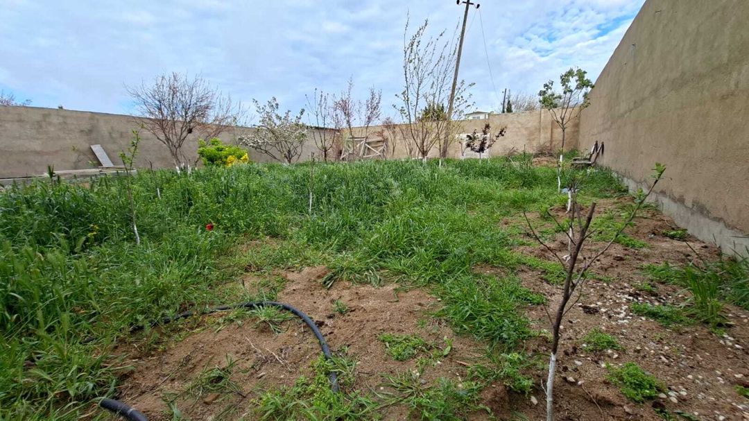 Satılır 3 otaqlı həyət evi/bağ evi 120 m² — Ev, villa, Sumqayıt (9)