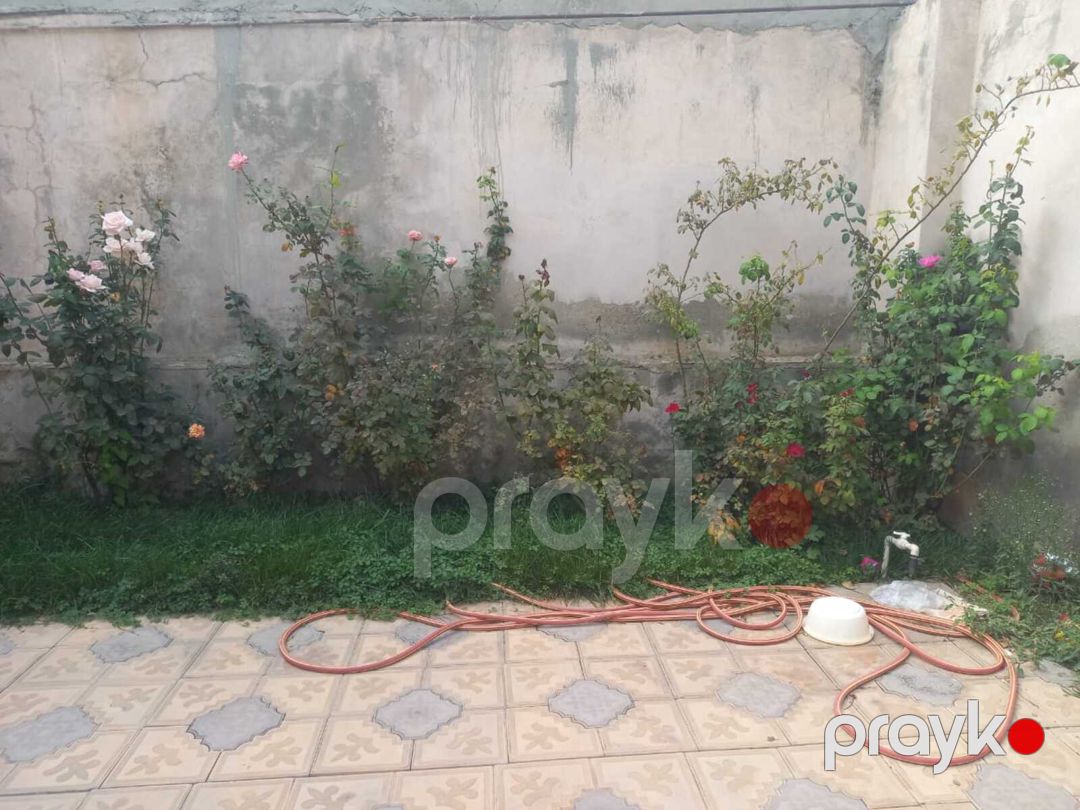 İcarəyə verilir 7 otaqlı həyət evi/bağ evi 150 m² — Ev, villa, Bakı (2)