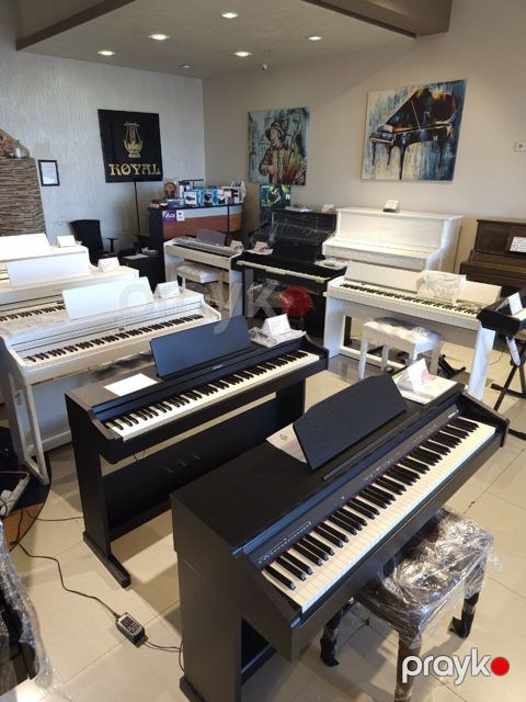 Elektron pianolar - Kawai, Roland, Medeli, Casio, Pearl River, Euphonia — Bakı