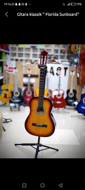 Klassik gitaralar "Florida models C39" — Musiqiə alətləri, Bakı (2)