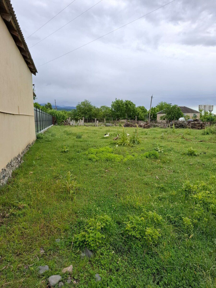 12 sot torpaq sahəsi, Zaqatala ş — Torpaq, Zaqatala (5)