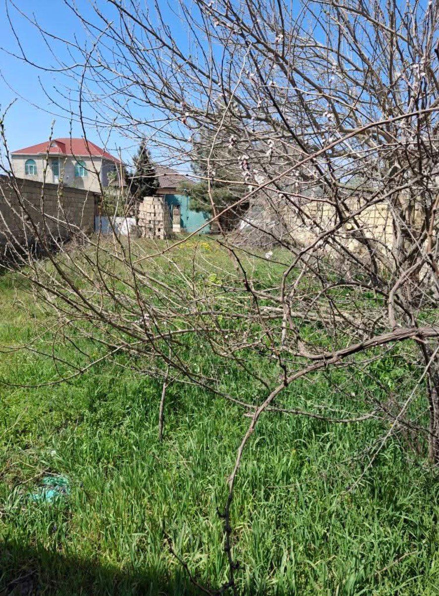Satılır torpaq 4 sot — Torpaq, Bakı (6)