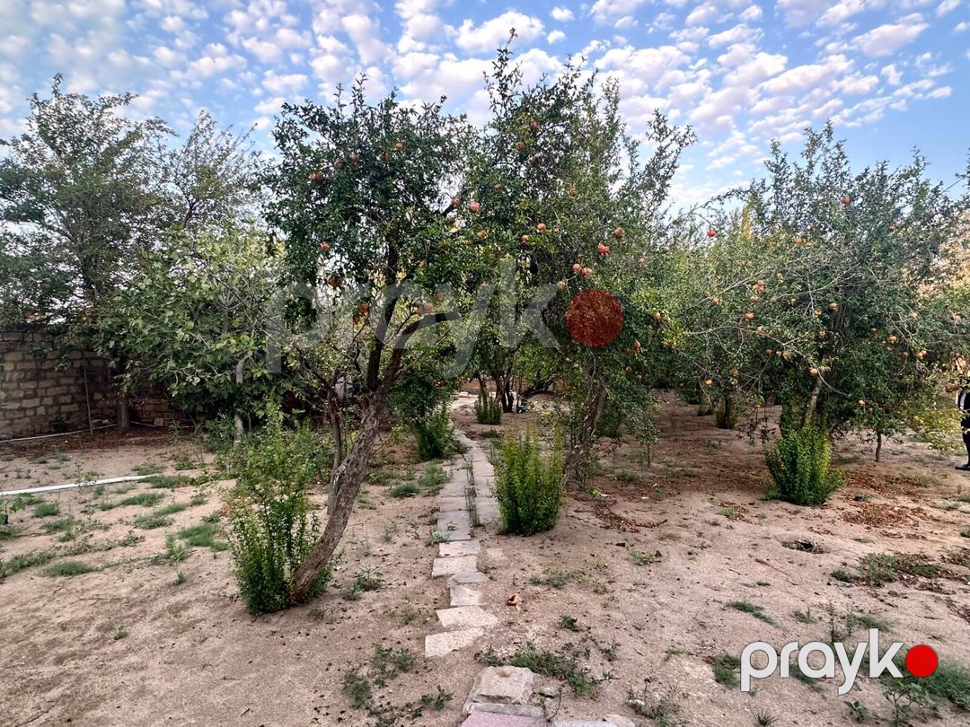 3 sot torpaq sahəsi, Novxanı qəs — Torpaq, Bakı (5)