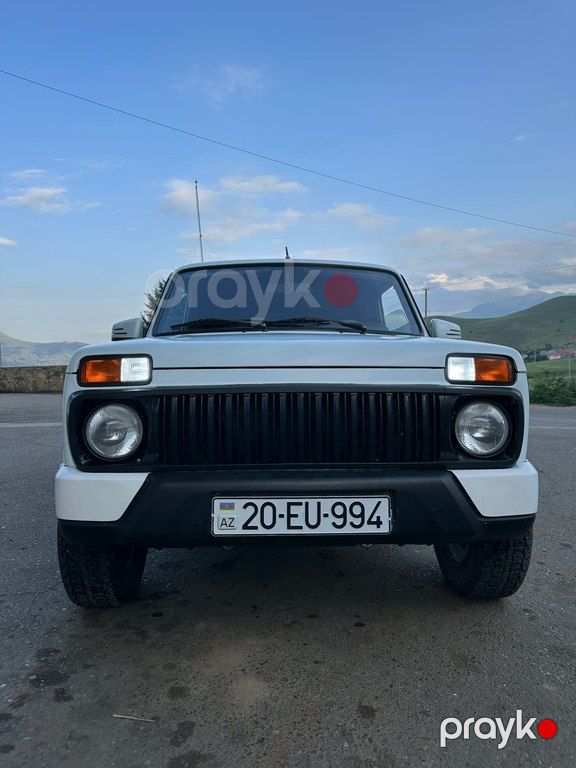 Lada (VAZ) Niva, 1.7 L, 2013 il, 79 000 km — Avtomobillər, Gədəbəy (2)