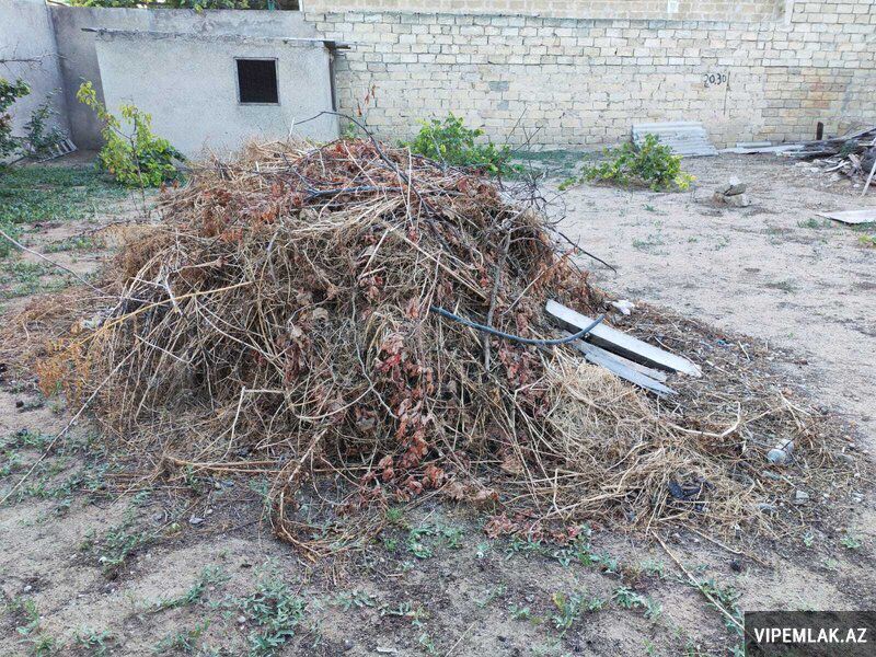 Sabunçu rayonunda Torpaq Satılır, 4 sot — Torpaq, Bakı (4)