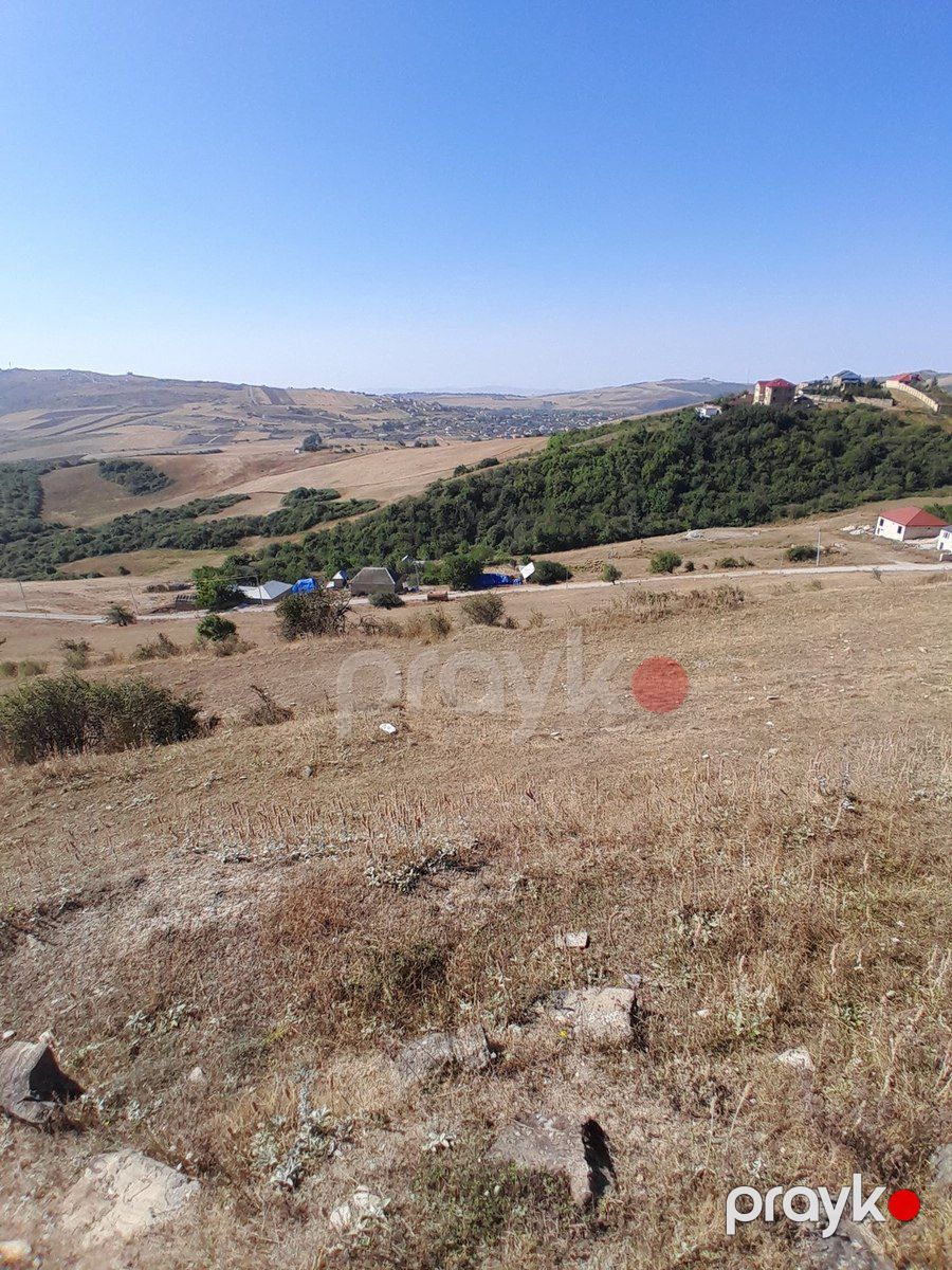 12 sot torpaq sahəsi, Şamaxı r — Torpaq, Şamaxı (2)