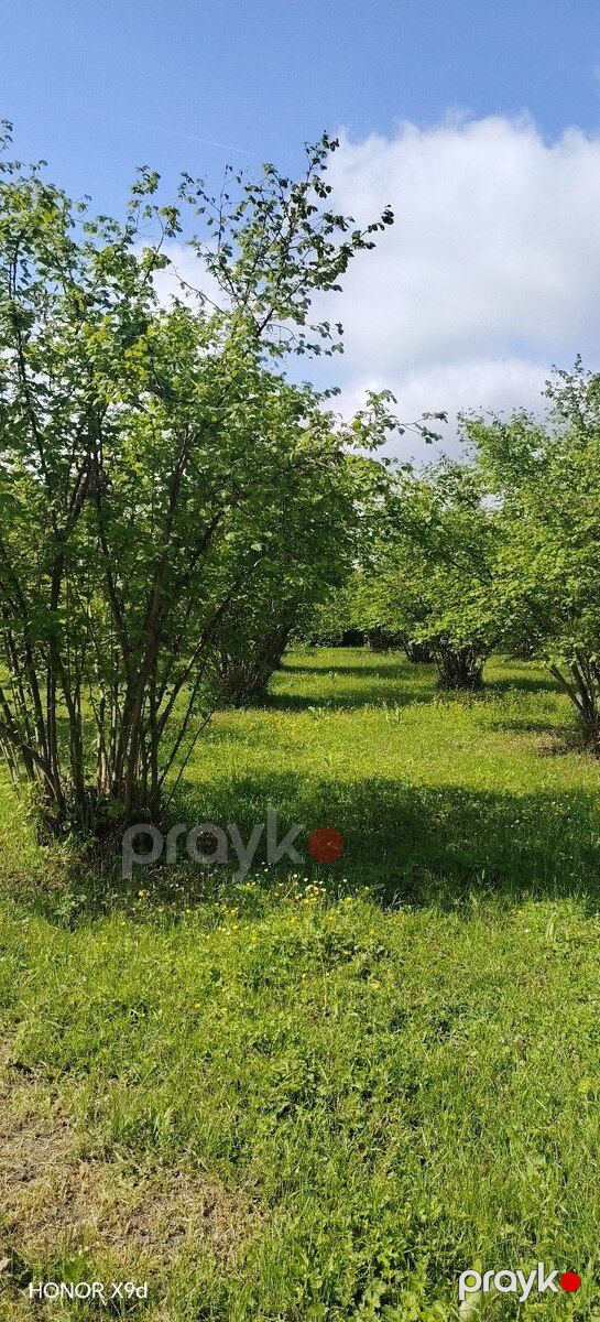 1.9 sot torpaq sahəsi, Qax r — Torpaq, Qax (3)
