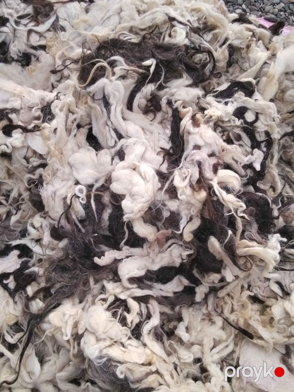 Təmiz yundu kilosu 3 manat nə qədər isdəsəniz var — Digər, Digah (2)