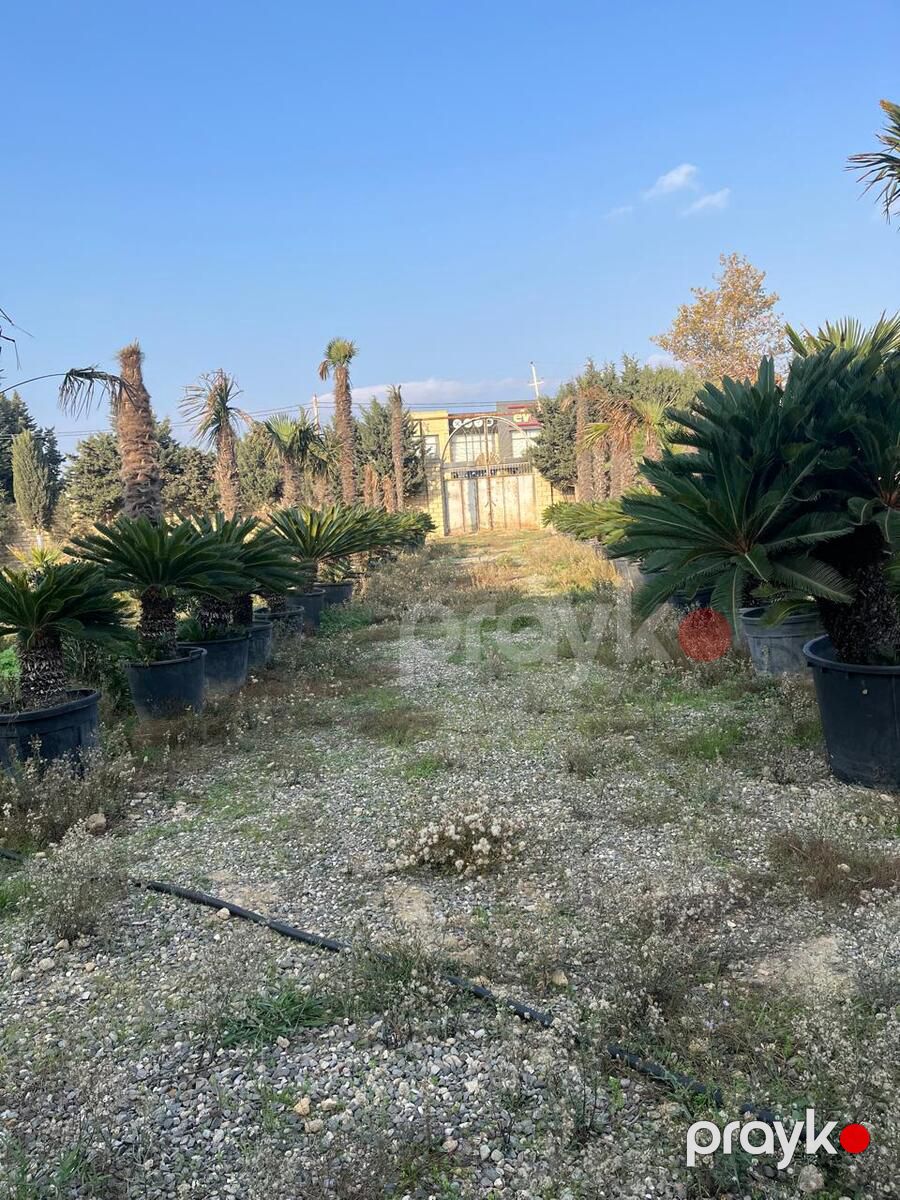 Satılır 14 otaqlı həyət evi/bağ evi 1250 m² — Ev, villa, Bakı (4)
