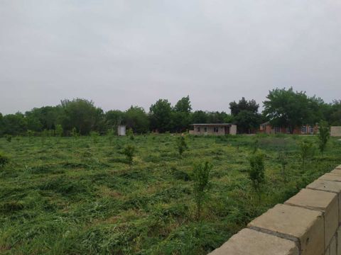 40 sot torpaq sahəsi, Tərtər r — Tərtər