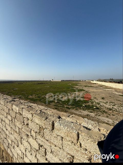 İcarəyə verilir torpaq 350 sot
