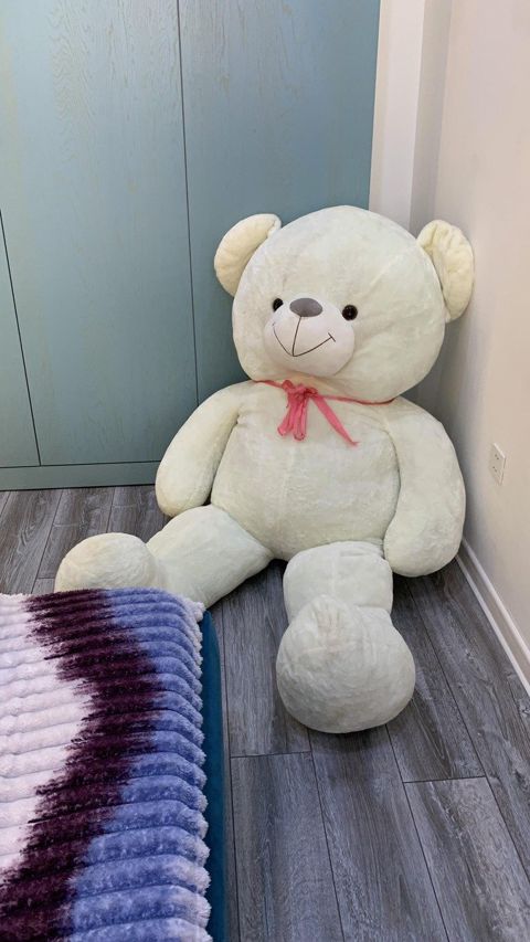 Oyuncaq ayı Teddy — Bakı