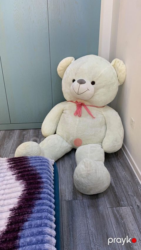 Oyuncaq ayı Teddy — Bakı