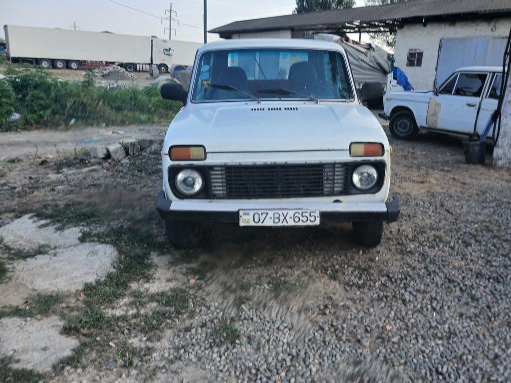 Lada (VAZ) Niva, 1.7 L, 2003 il, 313 000 km — Avtomobillər, Lənkəran
