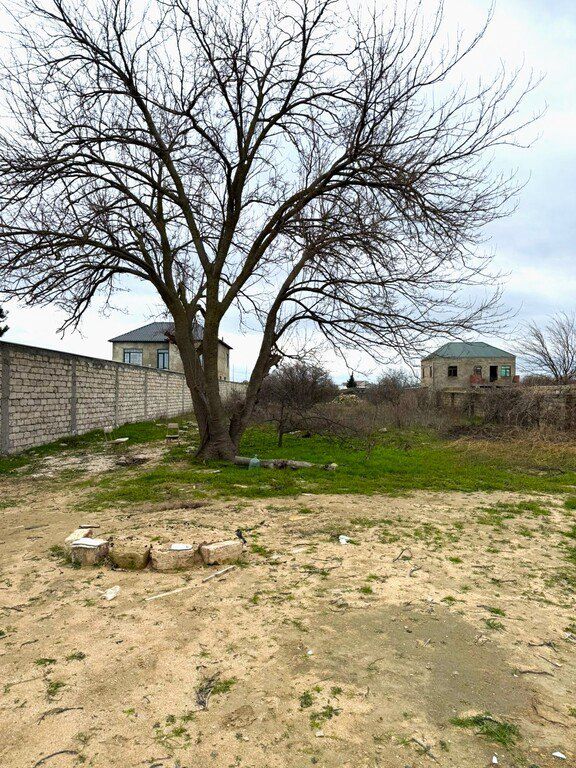 Satılır torpaq 19 sot — Torpaq, Bakı (4)