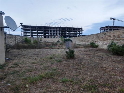 9500 sot, Biznes üçün, Bələdiyyə — Digah