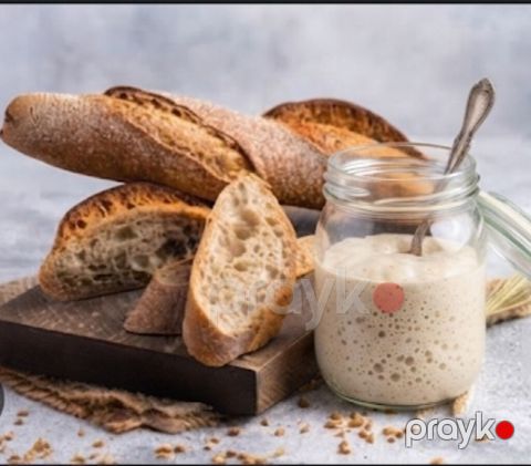 Təbii mayalı xəmir (sourdough starter) – evdə çörək bişirənlər üçün — Digah
