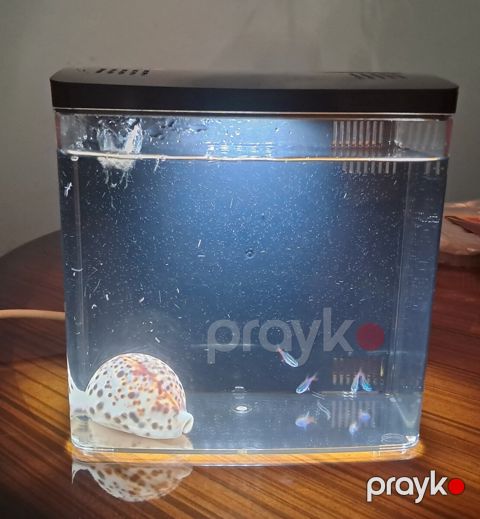 Akvarium — Bakı