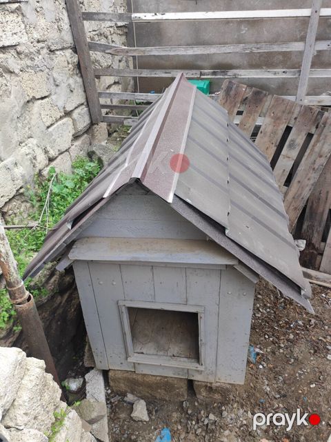 İt yuvası — Bakı