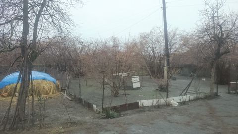 47.7 sot torpaq sahəsi, Aşağı Tala k — Zaqatala