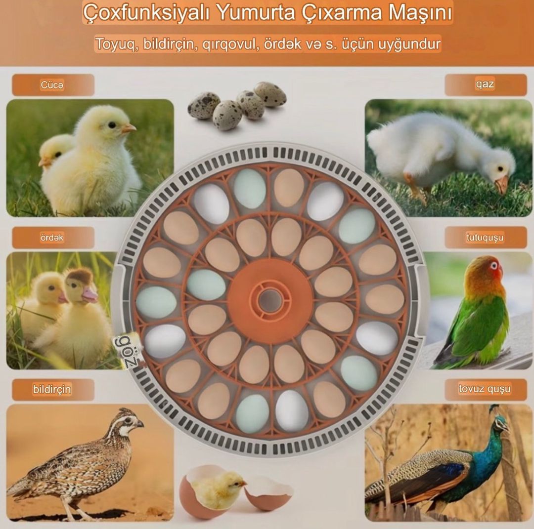 İnkubator 30 yumurta — Biznes və avadanlıq, Bakı (3)