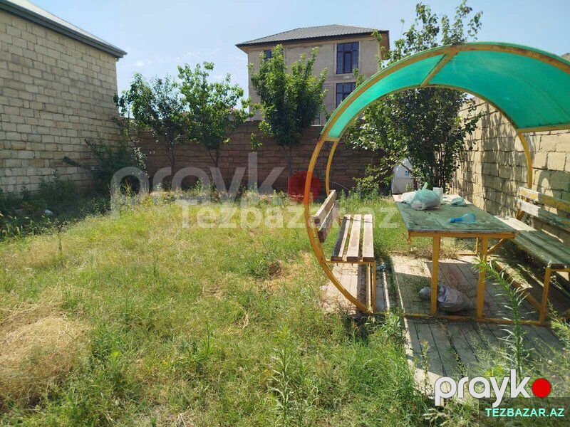 Saray qəsəbəsi, Nəsrəddin Tusi küçəsi — Torpaq, Bakı (2)