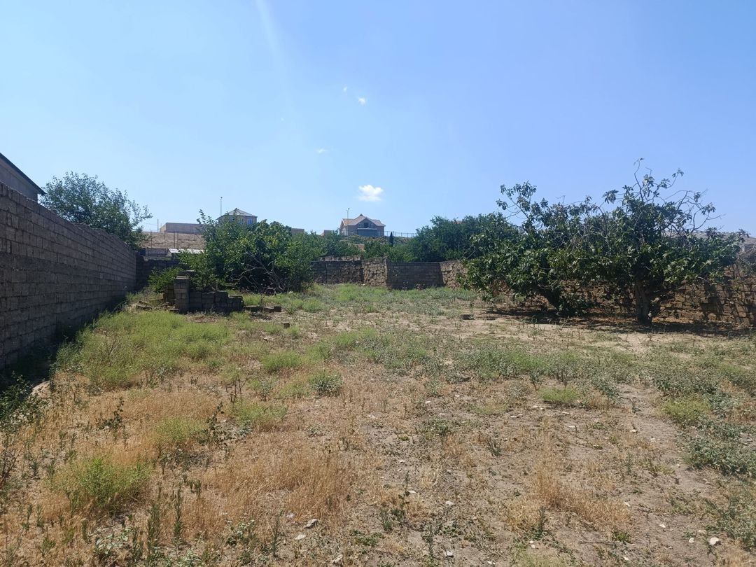 Satılır torpaq 7 sot — Torpaq, Bakı (6)