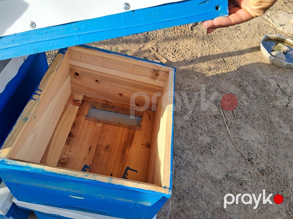 Arı pətəkləri – taxta korpuslu, hazır yığılmış 1 mətəbə — 40 AZN 2 — Kənd təsərrüfatı avadanlığı, Biləsuvar (4)