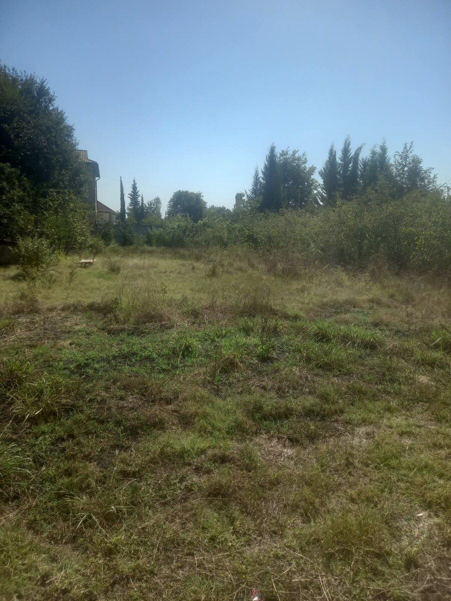 5 sot torpaq sahəsi, Qızılavar k — Torpaq, Masallı (2)