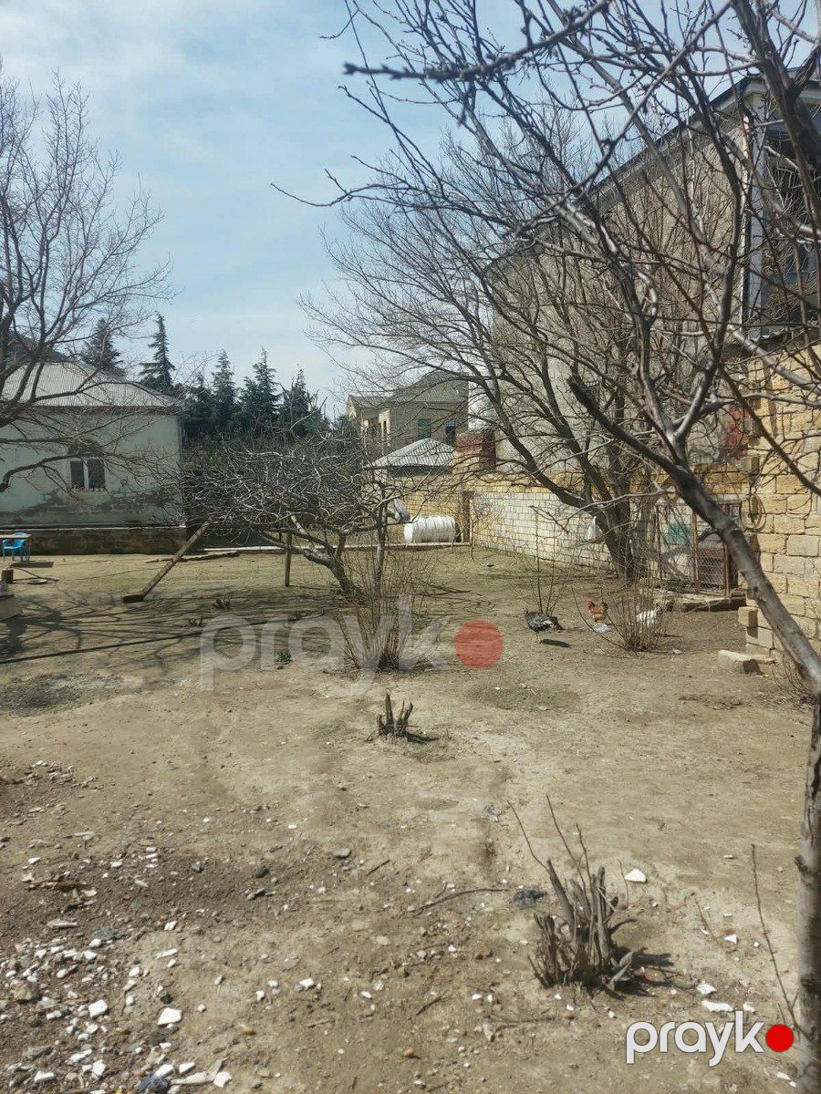 Satılır torpaq 11 sot — Torpaq, Bakı (5)