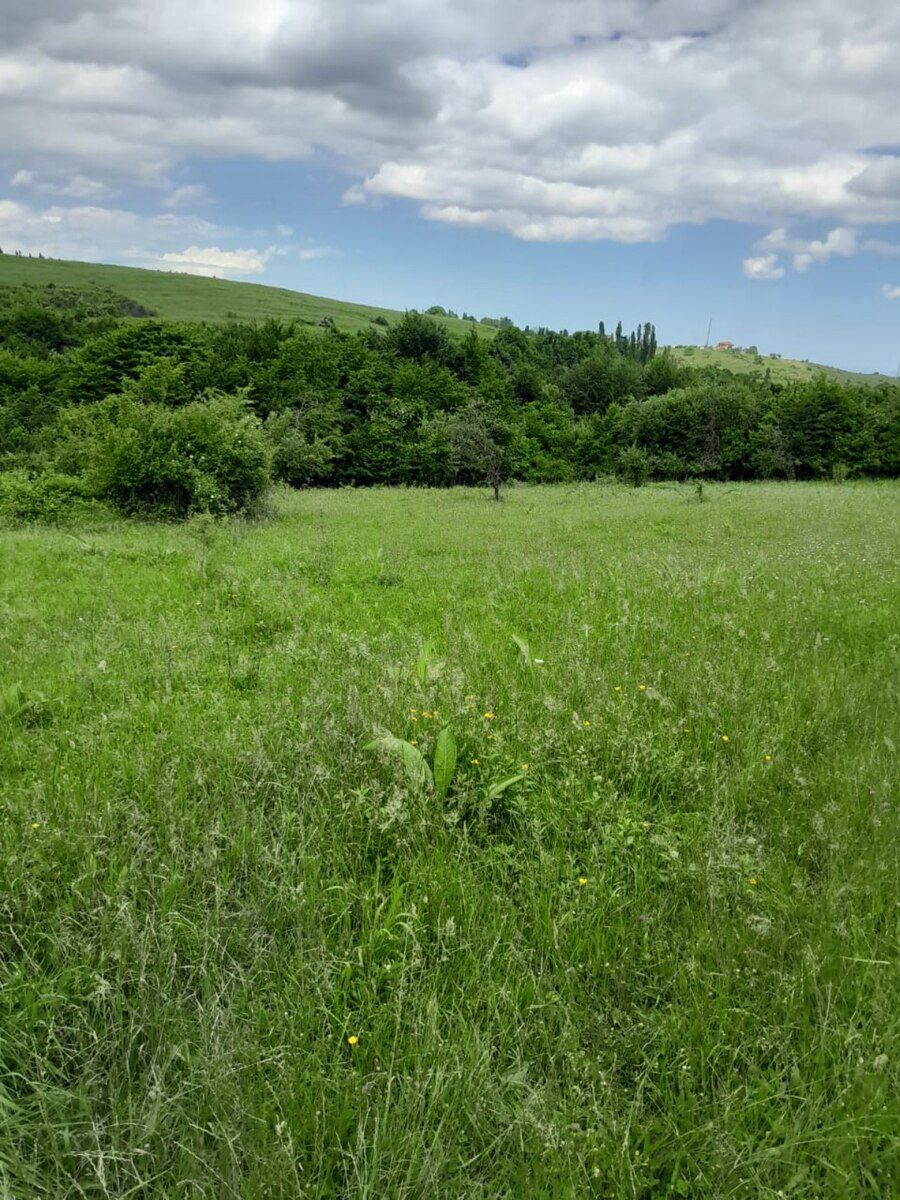 6 sot torpaq sahəsi, Qusar r — Torpaq, Qusar
