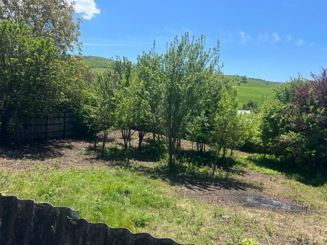6 sot torpaq sahəsi, İsmayıllı ş — Torpaq, Bakı (8)