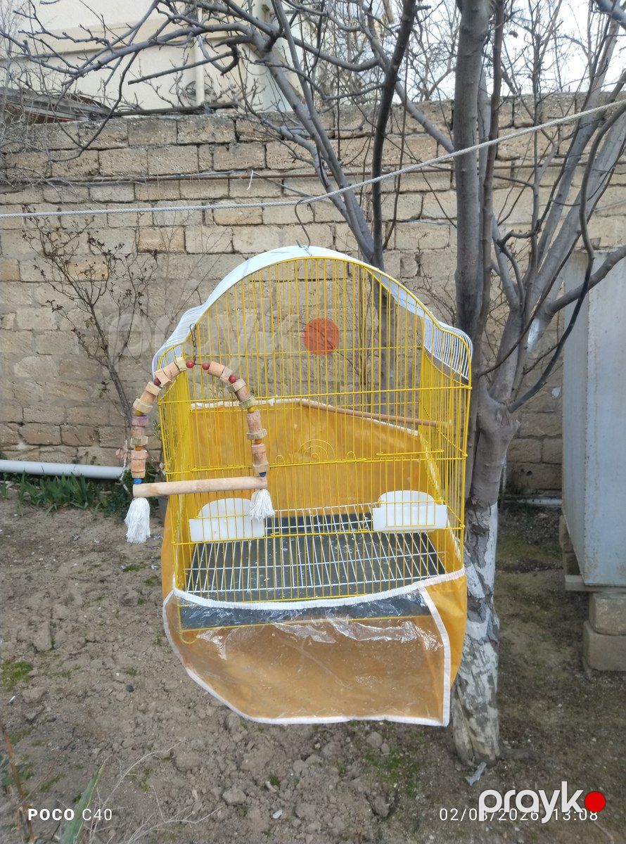Qəfəs — Heyvan malları, Bakı (4)