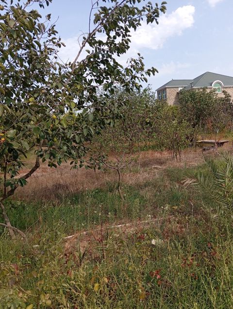 3 sot, Tikinti — Bakı