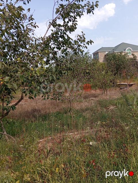 3 sot, Tikinti — Bakı