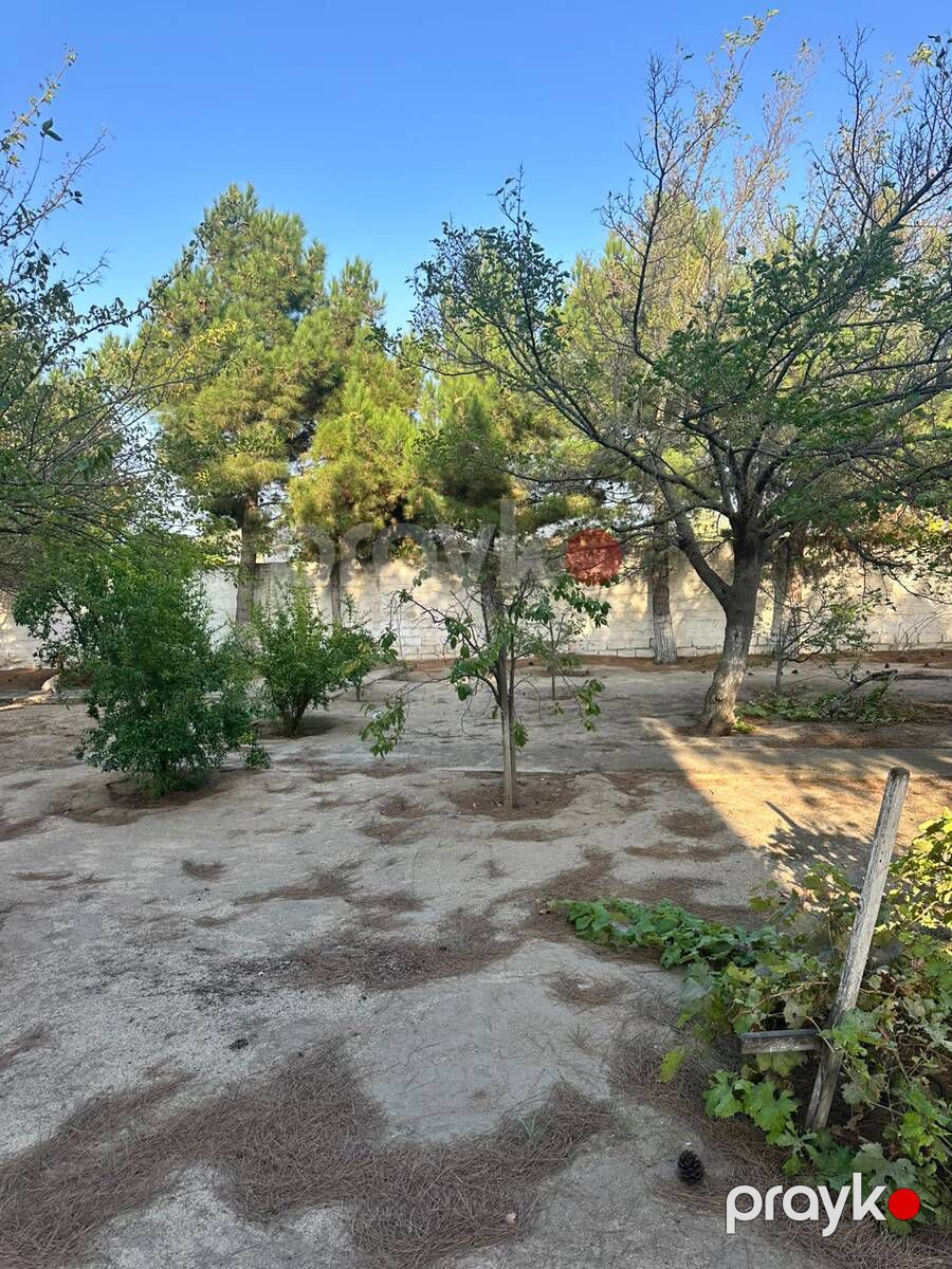 3 sot torpaq sahəsi, Novxanı qəs — Torpaq, Bakı (4)