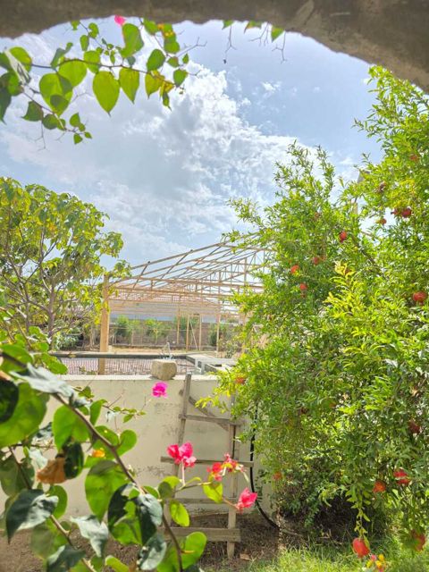 Satılır 6 otaqlı həyət evi/bağ evi 360 m² — Bakı