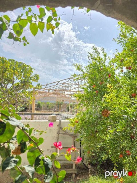 Satılır 6 otaqlı həyət evi/bağ evi 360 m² — Bakı