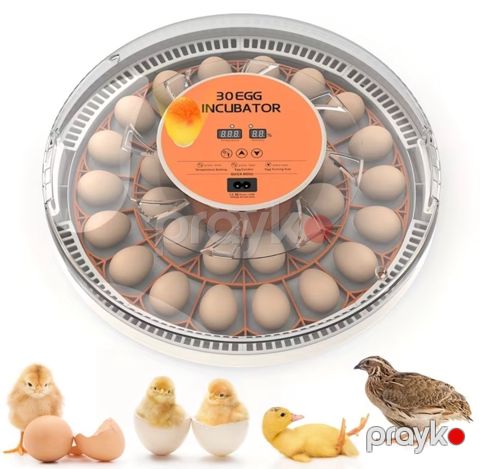 İnkubator 30 yumurta — Bakı